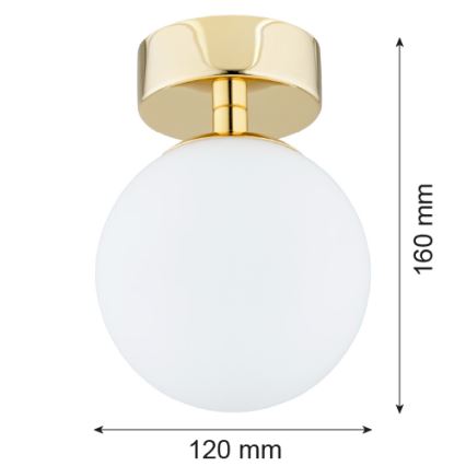 Argon 4004 - Lámpara de techo para baño FLAVIO 1xE14/7W/230V IP44