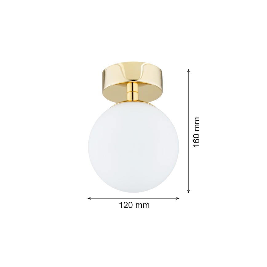 Argon 4004 - Plafón FLAVIO 1xE14/7W/230V