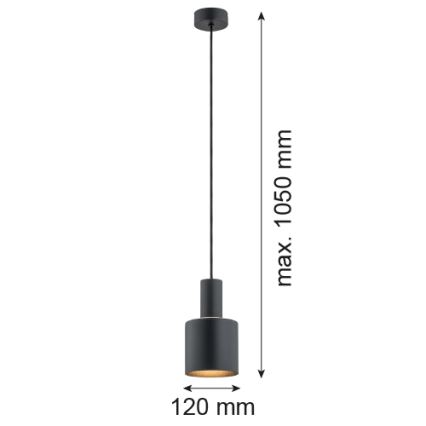 Argon 4219 - Lámpara colgante SINES 1xE27/15W/230V diá. 12 cm negro