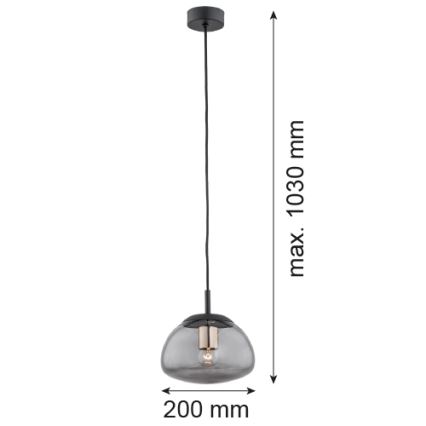 Argon 4333 - Lámpara colgante TRINI 1xE27/15W/230V negro