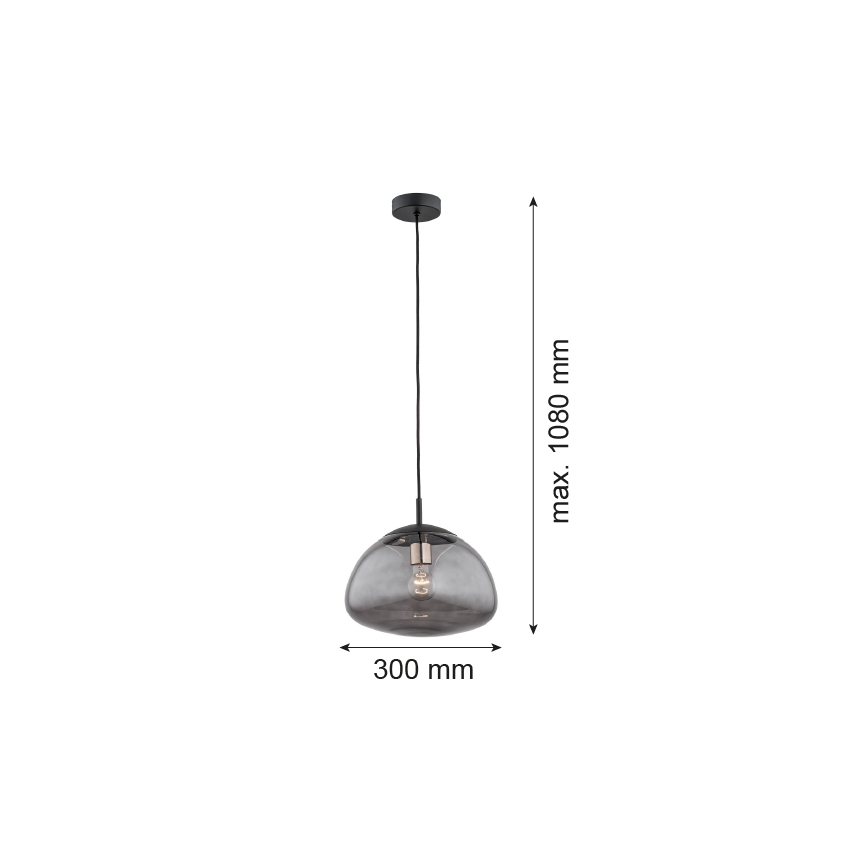 Argon 4334 - Lámpara colgante TRINI 1xE27/15W/230V negro