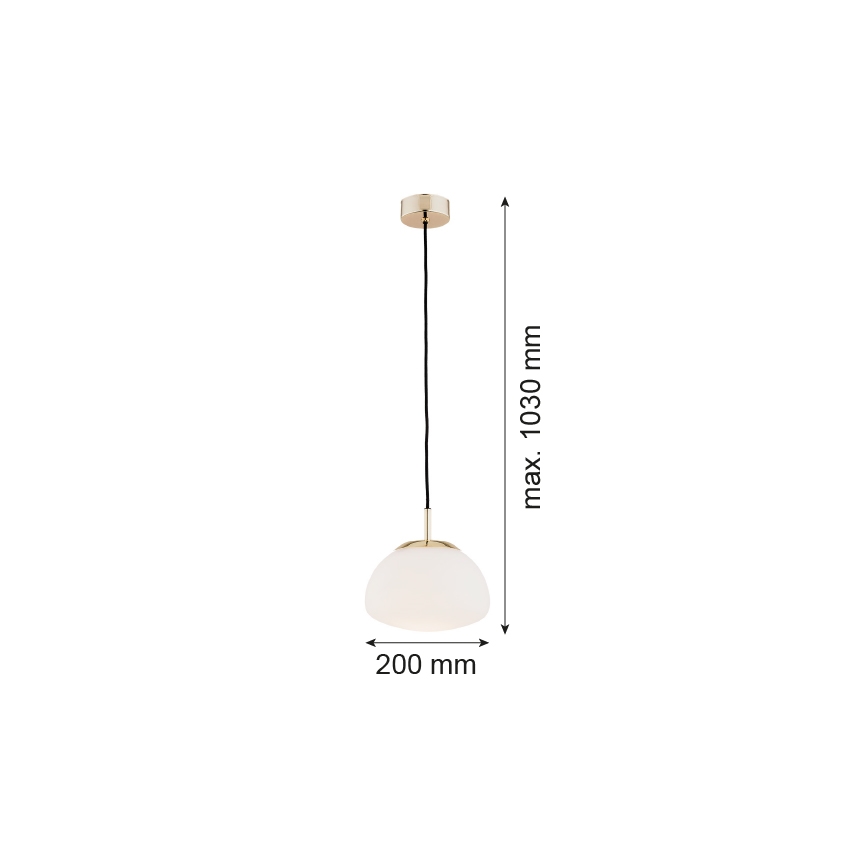 Argon 4352 - Lámpara colgante TRINI 1xE27/15W/230V dorado