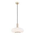 Argon 4358 - Lámpara colgante SAGUNTO 1xE27/15W/230V diá. 30 cm latón