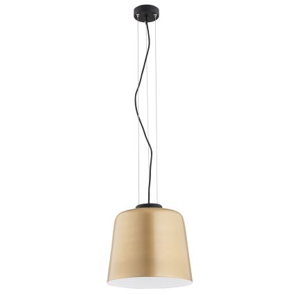 Argon 4690 - Lámpara colgante BERKLEY 1xE27/15W/230V