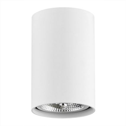 Argon 4910 - Foco TUBO AR111 1xGU10/15W/230V blanco