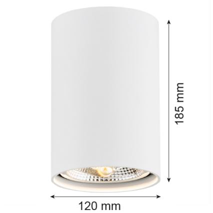 Argon 4910 - Foco TUBO AR111 1xGU10/15W/230V blanco
