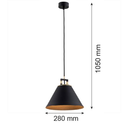 Argon 4915 - Lámpara colgante ORTE 1xE27/15W/230V negro