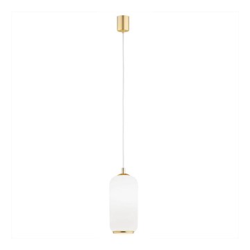 Argon 4993 - Lámpara colgante PALLADO 1xE27/15W/230V dorado/blanco