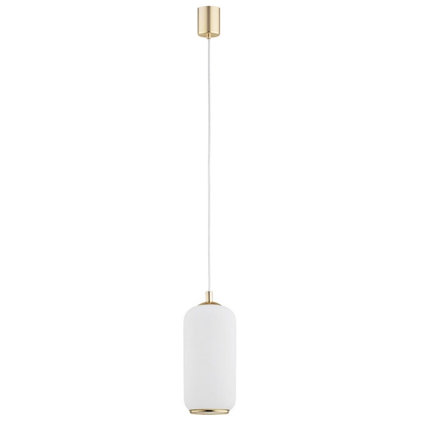 Argon 4993 - Lámpara colgante PALLADO 1xE27/15W/230V dorado/blanco