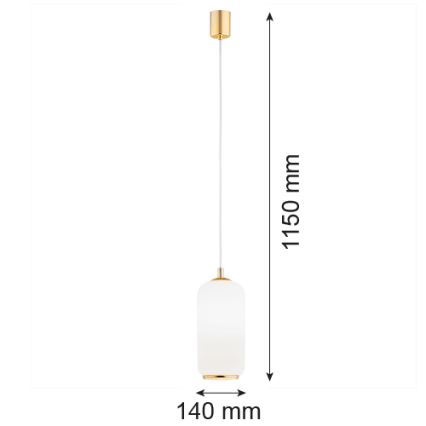 Argon 4993 - Lámpara colgante PALLADO 1xE27/15W/230V dorado/blanco