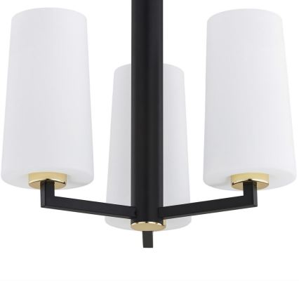 Argon 6143 - Lámpara colgante CAMELOT PLUS 3xE27/15W/230V negro/blanco/dorado