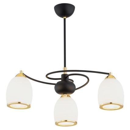 Argon 6144 - Lámpara colgante AVILA PLUS 3xE27/15W/230V negro/dorado/blanco