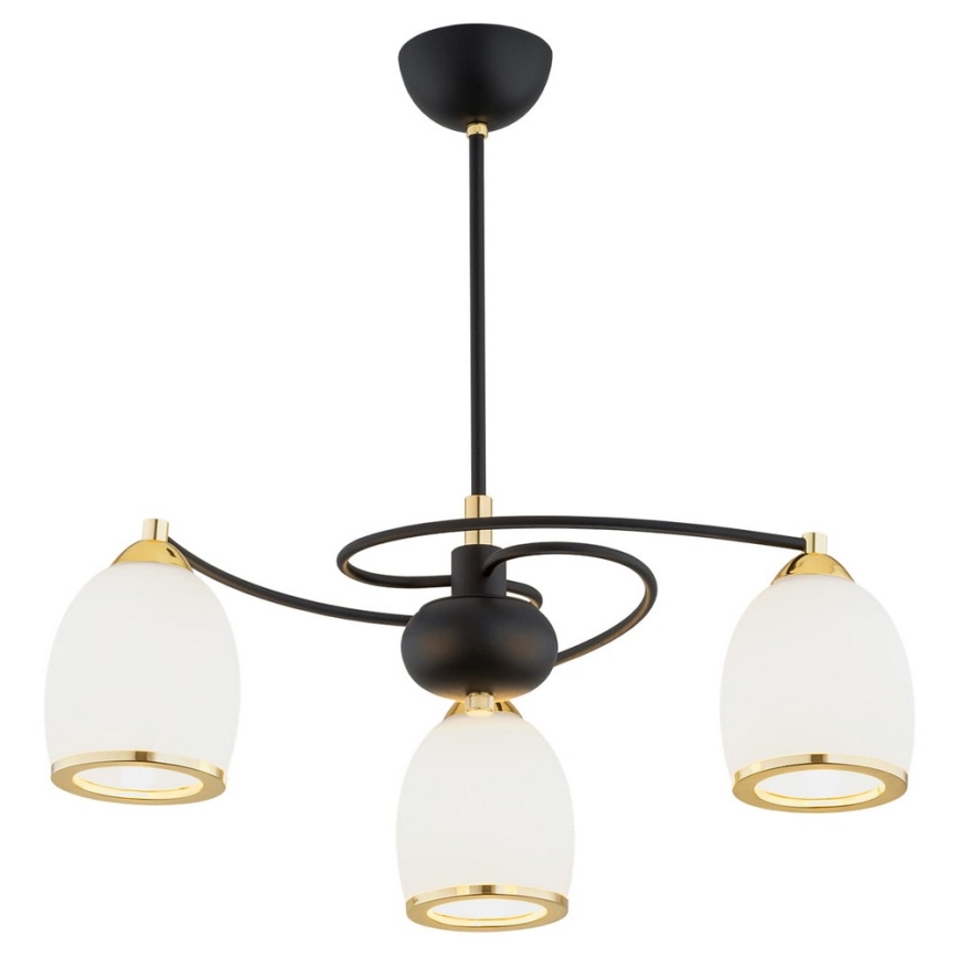 Argon 6144 - Lámpara colgante AVILA PLUS 3xE27/15W/230V negro/dorado/blanco