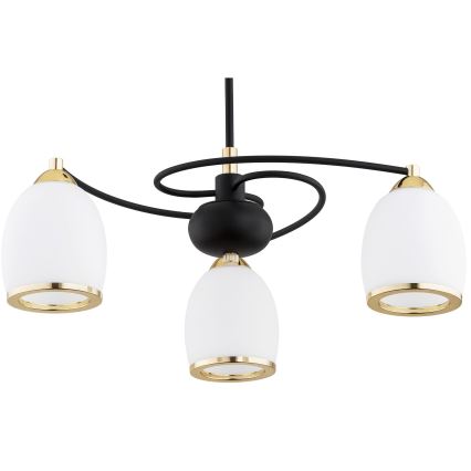 Argon 6144 - Lámpara colgante AVILA PLUS 3xE27/15W/230V negro/dorado/blanco
