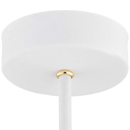 Argon 6148 - Lámpara colgante CHARLOTTE 3xE27/15W/230V blanco/dorado