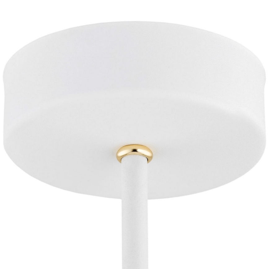 Argon 6148 - Lámpara colgante CHARLOTTE 3xE27/15W/230V blanco/dorado