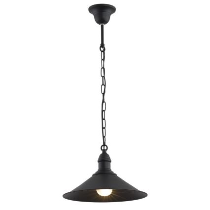 Argon 631 - Lámpara colgante ERBA 1xE27/60W/230V