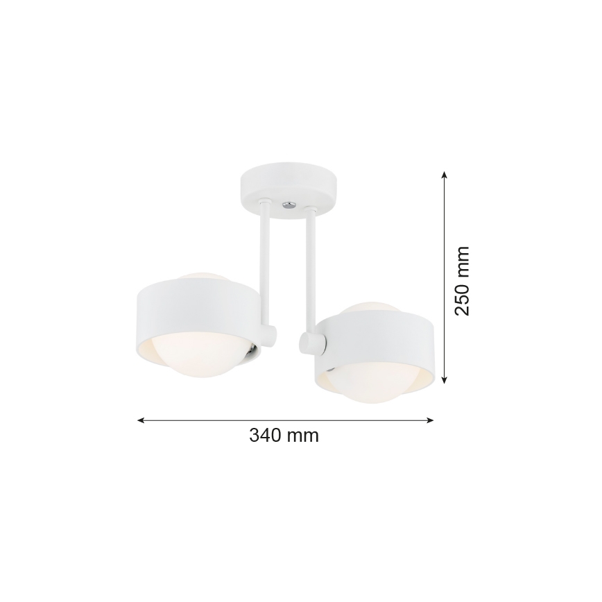 Argon 7088 - Lámpara colgante MASSIMO PLUS 2xG9/6W/230V blanco