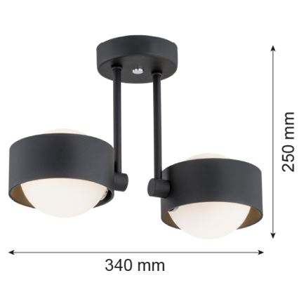 Argon 7089 - Lámpara colgante MASSIMO PLUS 2xG9/6W/230V negro