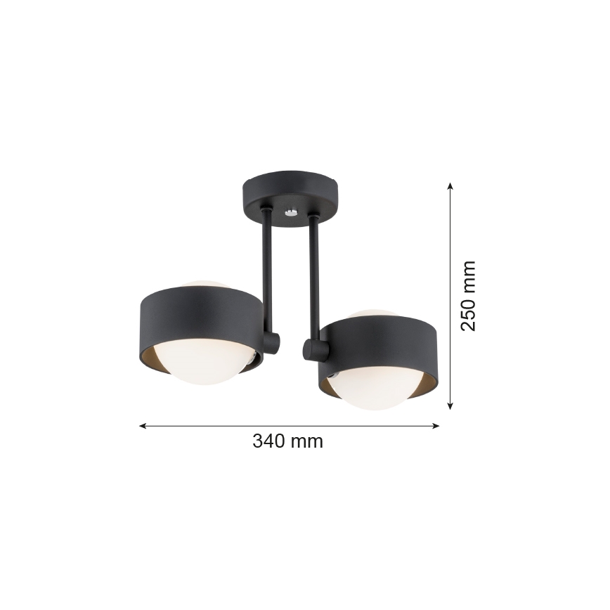 Argon 7089 - Lámpara colgante MASSIMO PLUS 2xG9/6W/230V negro