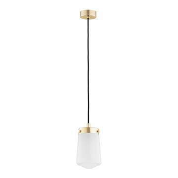 Argon 8004 - Lámpara colgante PASADENA 1xE27/15W/230V dorado/blanco