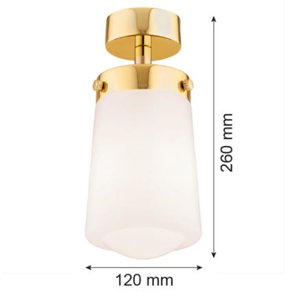 Argon 8005 - Lámpara de techo PASADENA 1xE27/15W/230V dorado/blanco