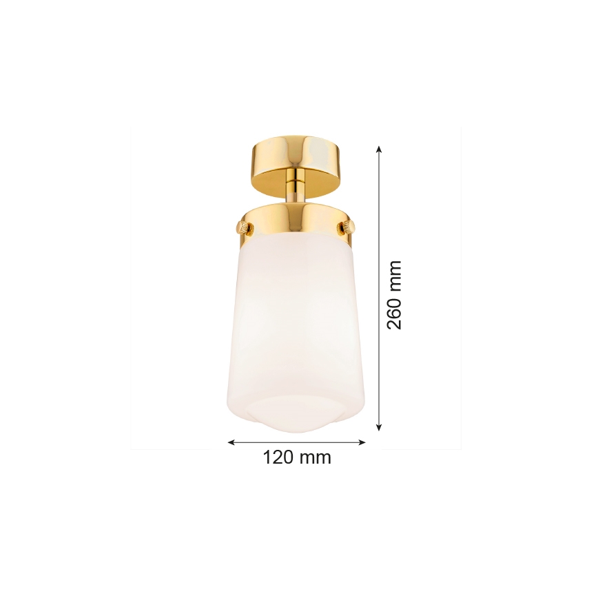 Argon 8005 - Lámpara de techo PASADENA 1xE27/15W/230V dorado/blanco
