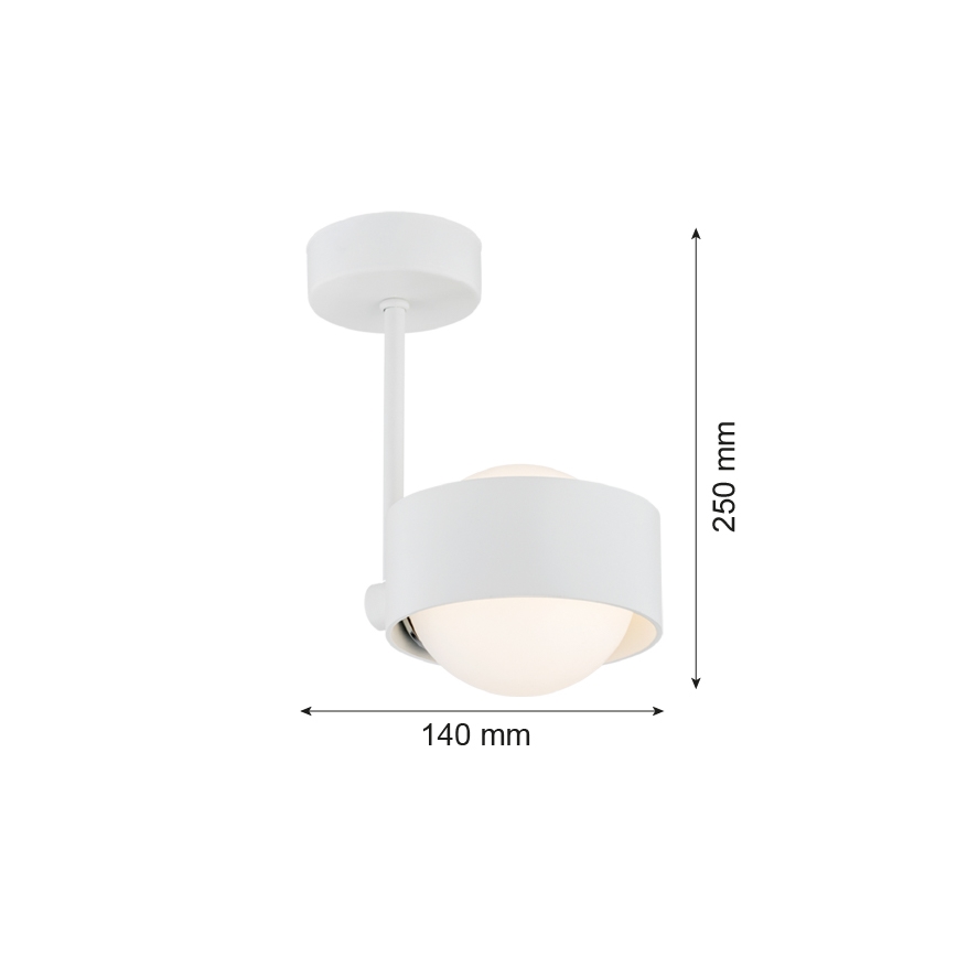 Argon 8058 - Lámpara colgante MASSIMO PLUS 1xG9/6W/230V blanco