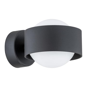 Argon 8059 - Aplique MASSIMO PLUS 1xG9/6W/230V negro