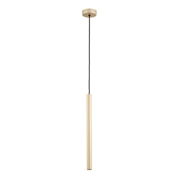 Argon 8327 - Lámpara LED colgante RIO LED/4,2W/230V 3000K dorado