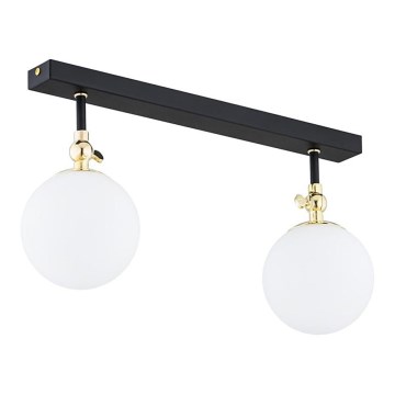 Argon 846 - Lámpara de techo para baño de montaje en superficie LATINA, 2xE14/40W/230V, IP44