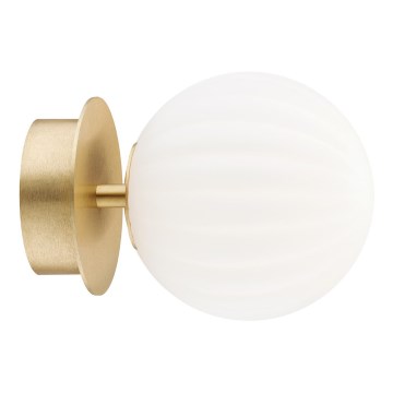 Argon 8504 - Aplique PALOMA 1xE14/7W/230V dorado/blanco