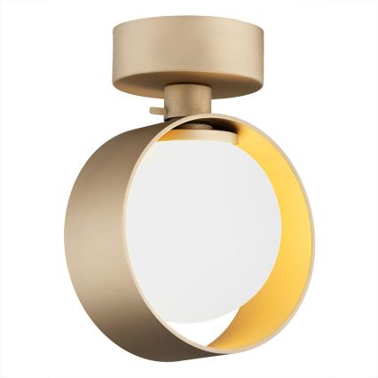 Argon 8567 - Aplique de baño MASSIMO PLUS 1xG9/6W/230V IP44 dorado