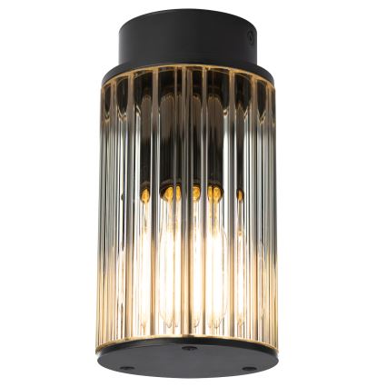 Argon 8773 - Plafón de exterior NORFOLK 1xE27/15W/230V IP44 negro