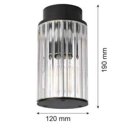 Argon 8773 - Plafón de exterior NORFOLK 1xE27/15W/230V IP44 negro