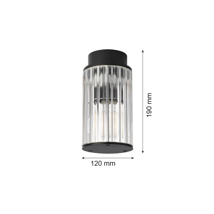 Argon 8773 - Plafón de exterior NORFOLK 1xE27/15W/230V IP44 negro