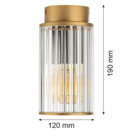 Argon 8774 - Plafón de exterior NORFOLK 1xE27/15W/230V IP44 dorado