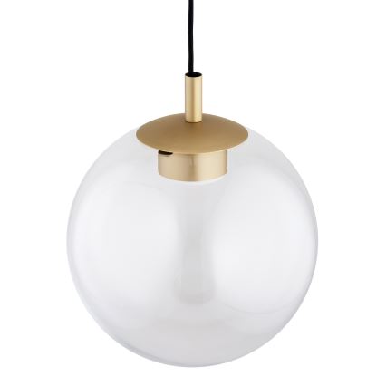 Argon 8828 - Lámpara colgante SACRAMENTO 1xGX53/8W/230V transparente/dorado