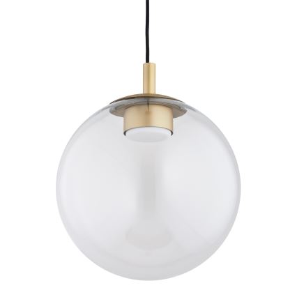 Argon 8828 - Lámpara colgante SACRAMENTO 1xGX53/8W/230V transparente/dorado