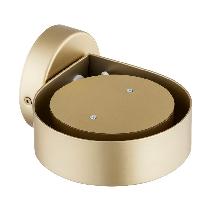 Argon 8899 - Aplique de pared LOTUS 1xGX53/12W/230V dorado