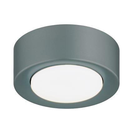 Argon 8917 - Lámpara de techo ELORA 1xGX53/7W/230V Ø 11 cm gris