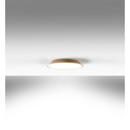 Artemide AR 0241320A - Plafón LED FEBE 4xLED/30W/230V
