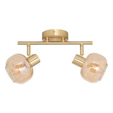 Atmosphera - Foco de techo PILIA 2xE14/25W/230V