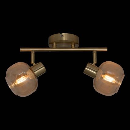 Atmosphera - Foco de techo PILIA 2xE14/25W/230V