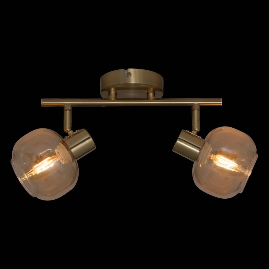 Atmosphera - Foco de techo PILIA 2xE14/25W/230V