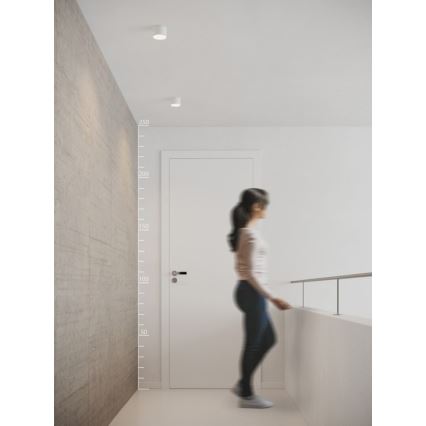 Azzardo AZ2252 - Lámpara de techo MONZA LED/5W/230V