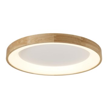 Azzardo AZ2698 - Lámpara de techo LED SILVAM LED/50W/230V