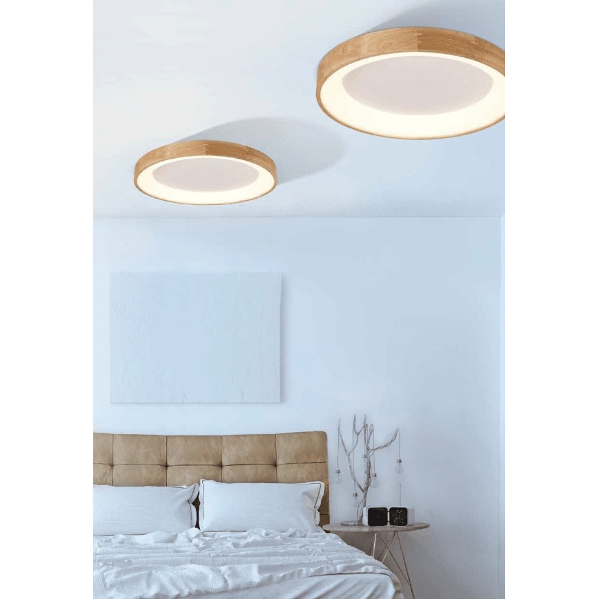 Azzardo AZ2698 - Plafón LED SILVAM 1xLED/50W/230V