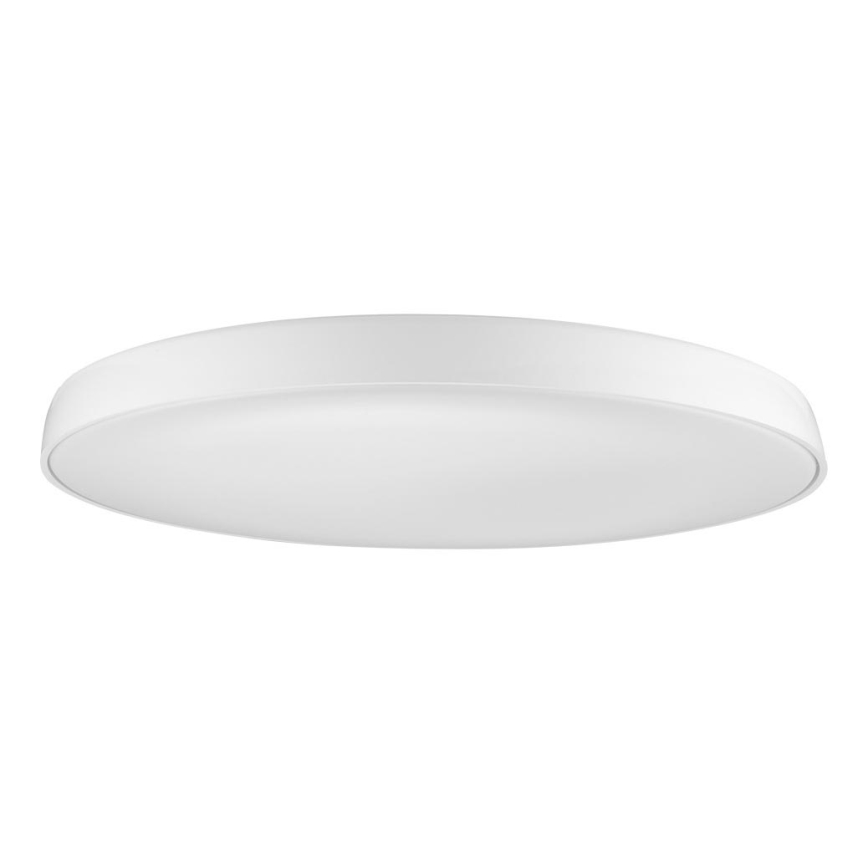 Azzardo AZ2739 - Plafón LED CORTONA 1xLED/50W/230V 4000K