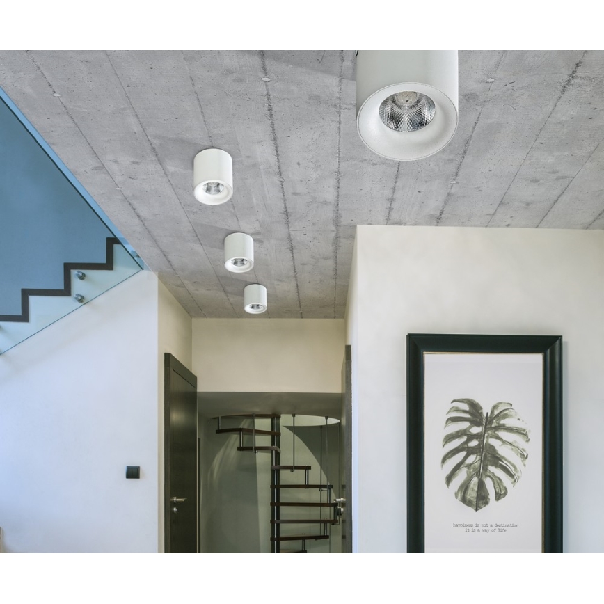 Azzardo AZ2845 - Luminaria de techo LED MANE LED/10W/230V